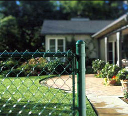 Residential chain link fence